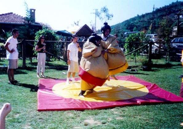 Sumo Güreşi